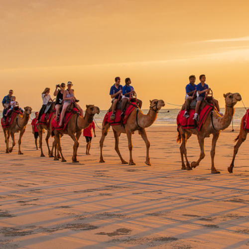 Camels at sunset on Cable Beach Broome